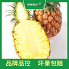 PAGODA百果园 金钻凤梨2粒彩箱装（4.5-5斤） 商品缩略图3