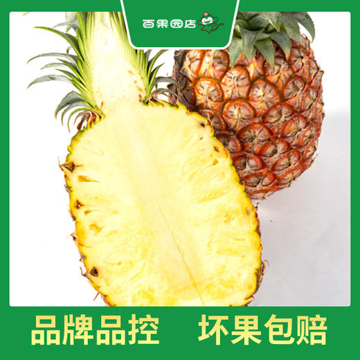 PAGODA百果园 金钻凤梨2粒彩箱装（4.5-5斤） 商品图3