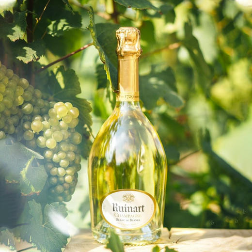 汇雅白中白香槟 NV 🇫🇷 Ruinart Blanc de blancs 商品图2