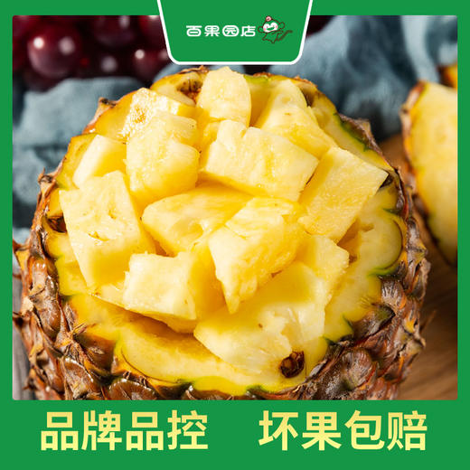 PAGODA百果园 金钻凤梨2粒彩箱装（4.5-5斤） 商品图2