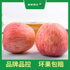 PAGODA百果园 洛川苹果（中）5斤彩箱装（净重≥5斤） 商品缩略图4
