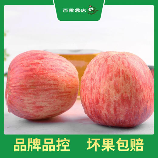 PAGODA百果园 洛川苹果（中）5斤彩箱装（净重≥5斤） 商品图4