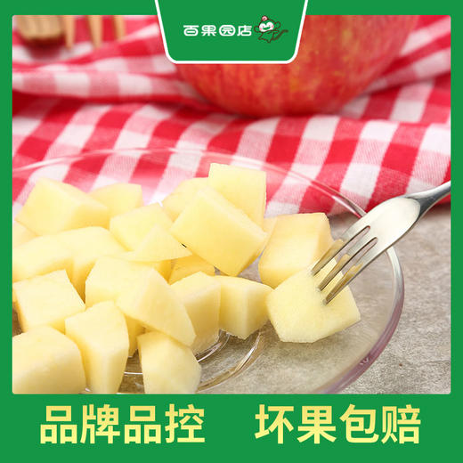 PAGODA百果园 洛川苹果（中）5斤彩箱装（净重≥5斤） 商品图1