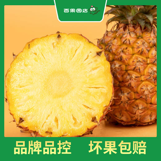 PAGODA百果园 金钻凤梨2粒彩箱装（4.5-5斤） 商品图4