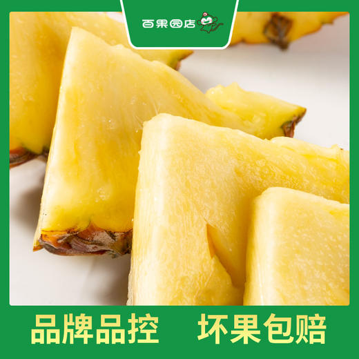 PAGODA百果园 金钻凤梨2粒彩箱装（4.5-5斤） 商品图1