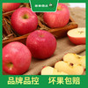 PAGODA百果园 洛川苹果（中）5斤彩箱装（净重≥5斤） 商品缩略图3