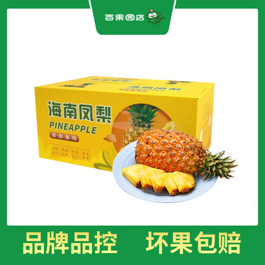 PAGODA百果园 金钻凤梨2粒彩箱装（4.5-5斤） 商品图0