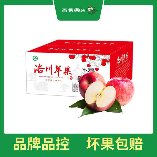 PAGODA百果园 洛川苹果（中）5斤彩箱装（净重≥5斤） 商品图0