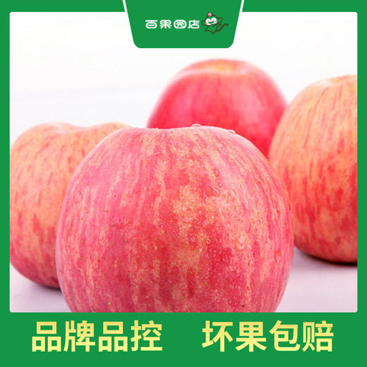 PAGODA百果园 洛川苹果（中）5斤彩箱装（净重≥5斤） 商品图2