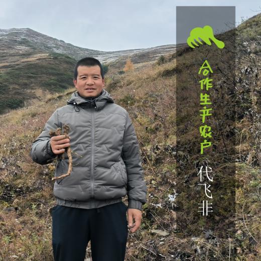 生态当归 | 合作生产 *  Eco-Salvia Miltiorrhiza | Coproduction 商品图1