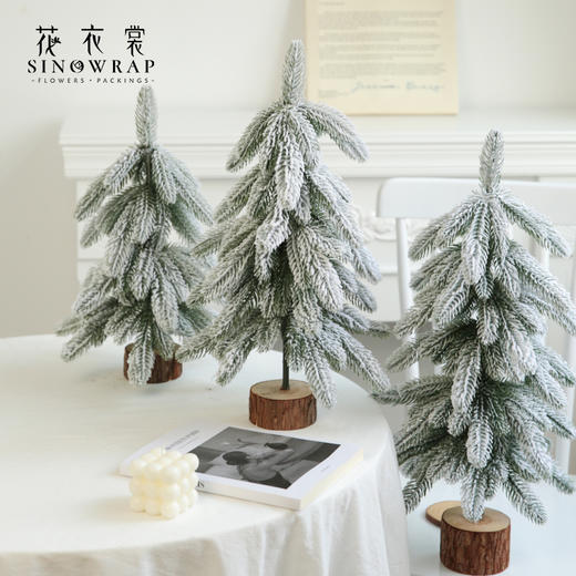 圣诞树套餐组合 商品图1