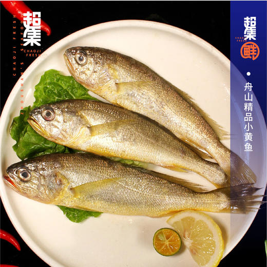 （发卡券）超集鲜舟山海鲜礼盒2288型礼品卡6050g【臻礼贺岁】 商品图2