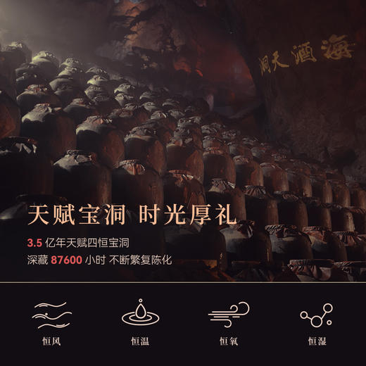 【酒厂专供】天赋+ 单瓶500ml 整箱500ml*6 商品图4