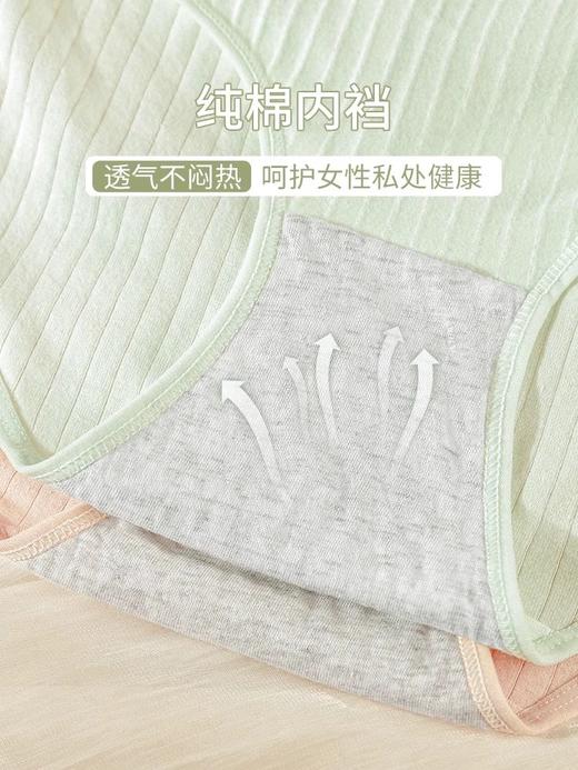 3A级抗JUN纯棉内裤【纯棉本棉7条39.9元】 日系莫兰迪简约纯色内裤女士中腰透气纯棉 商品图2