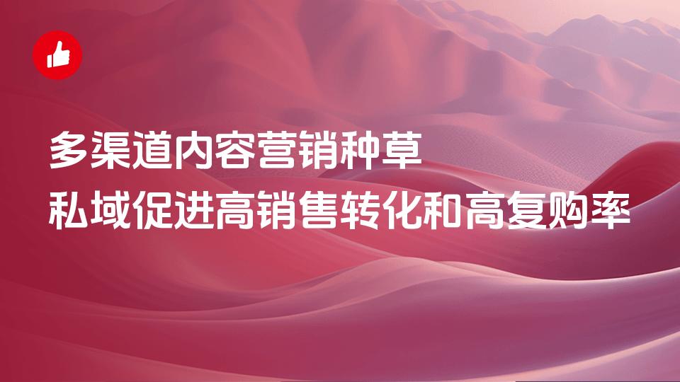 多渠道内容营销种草,私域促进高销售转化和高复购率
