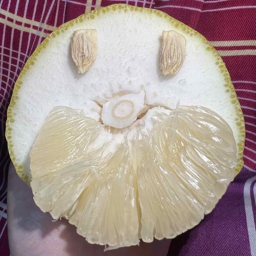 【“柚”爱在一起 】正宗江永云雾山和百年香柚柚子水果新鲜绿色食品富硒纯甜28~30斤 商品图9