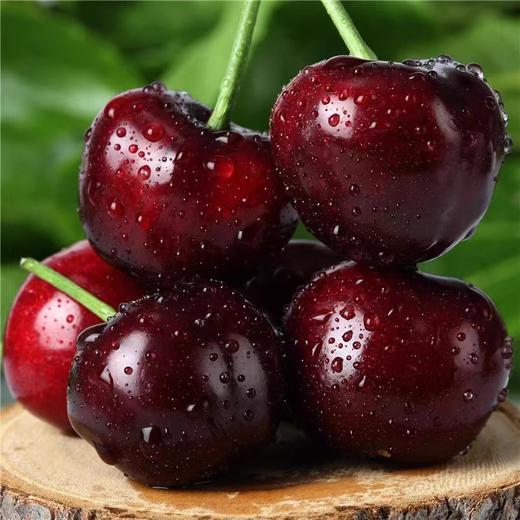 进口车厘子4J 约500g/份 商品图2