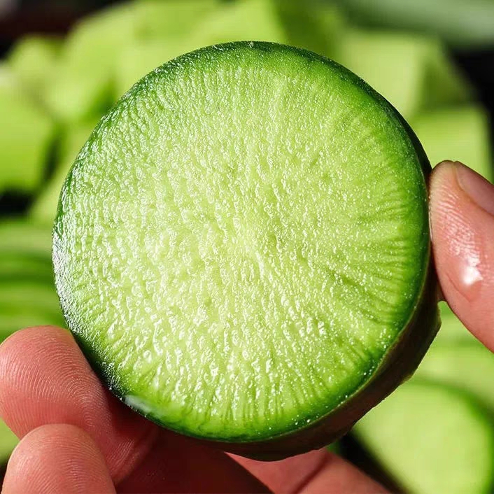 莲到家萝卜水果萝卜青皮萝卜