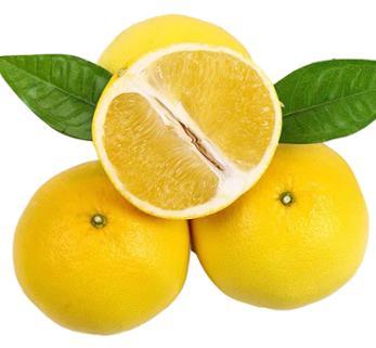 葡萄柚 商品图0