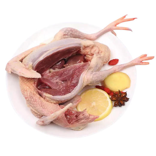 新桥高鹏 乳鸽 1只36 3只102 商品图0