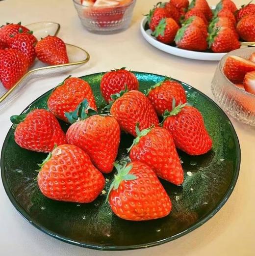 建德红颜草莓  商品图5