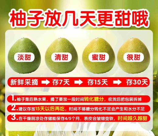 【“柚”爱在一起 】正宗江永云雾山和百年香柚柚子水果新鲜绿色食品富硒纯甜28~30斤 商品图4