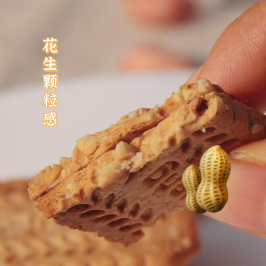 天啓·花生素 250g 商品图4