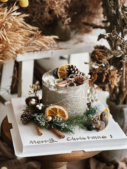 璀璨松林（含装饰灯带） 商品图4