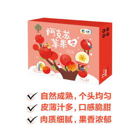 【分仓直发包邮 预售 25.12.10日左右发货】中粮安萃新疆阿克苏红富士苹果礼盒3.5kg（12粒）