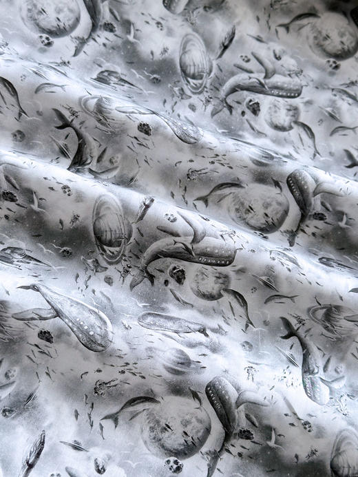 LT183A    宇宙巡航 季节款  269/M 商品图1