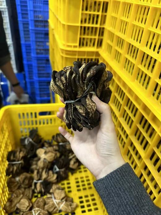 新会陈皮-2016年梅江塞口围老树圈枝 进阶珍藏版 口感醇甜 经久耐泡 商品图5