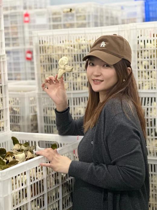 新会陈皮-2016年梅江塞口围老树圈枝 进阶珍藏版 口感醇甜 经久耐泡 商品图3