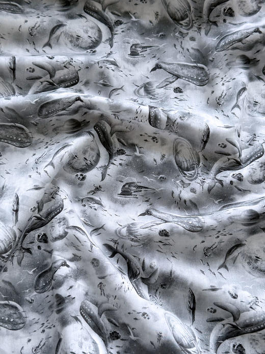 LT183A    宇宙巡航 季节款  269/M 商品图2