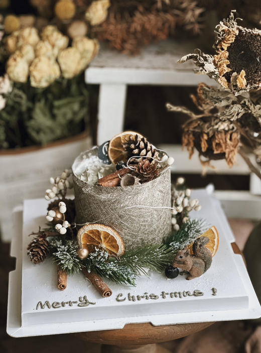 璀璨松林（含装饰灯带） 商品图6