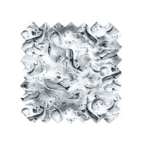 LT183A    宇宙巡航 季节款  269/M