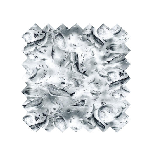 LT183A    宇宙巡航 季节款  269/M 商品图0