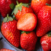 生态草莓（河南）  |合作生产 * Ecological strawberry | Coproduction 商品缩略图1
