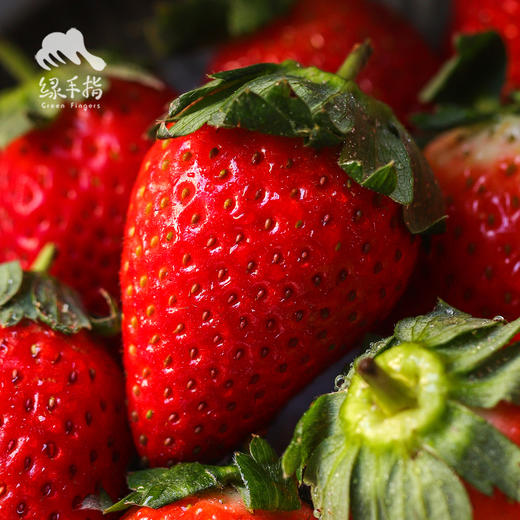 生态草莓（河南）  |合作生产 * Ecological strawberry | Coproduction 商品图2