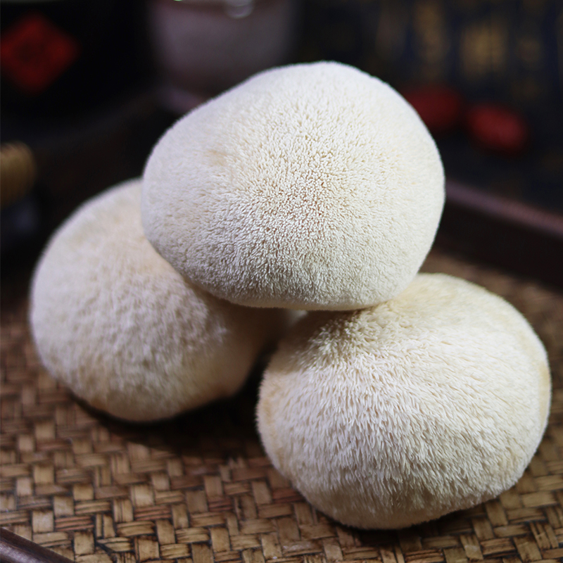 Monkey Head Mushrooms