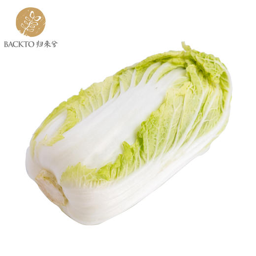 有机白菜  400g/份    全国配送（偏远地区除外） 商品图2