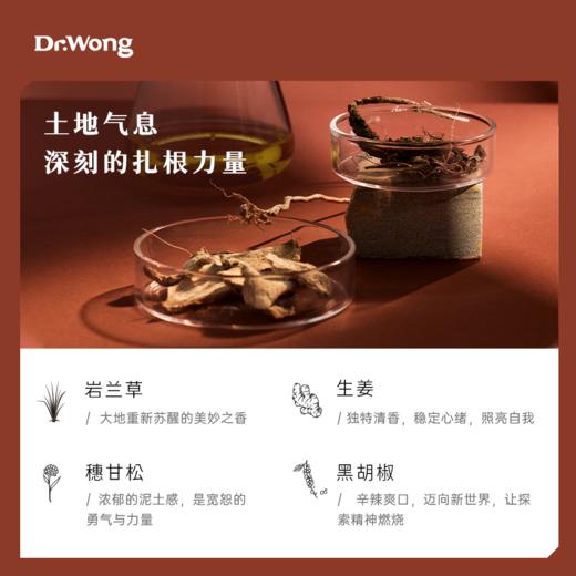 大繎C1 七色脉轮植物香薰精油 商品图1