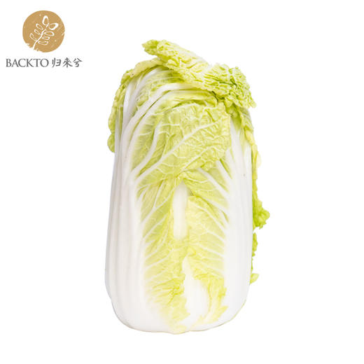 有机白菜  400g/份    全国配送（偏远地区除外） 商品图1