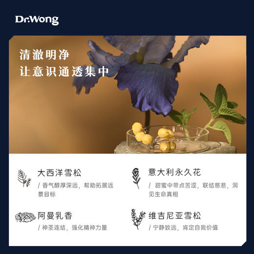绀宇C6 七色脉轮植物香薰精油 商品图1