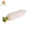 有机白萝卜 400g/份  全国配送（偏远地区除外） 商品缩略图1