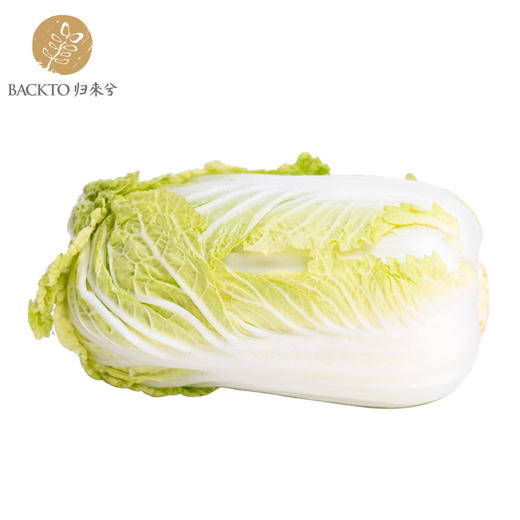 有机白菜  400g/份    全国配送（偏远地区除外） 商品图0