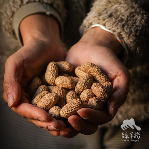 生态带壳炒花生 | 合作生产*Ecological goji berry｜Coproducted 商品图4