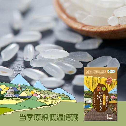 【秒杀保质期到25.11.13介意慎拍】中粮初萃特别栽培大米礼盒3kg 商品图2