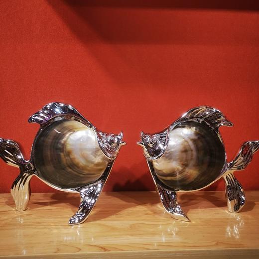 E-YSR-M22 鲍鱼整贝小对鱼 电镀银 澳洲真贝系列 商品图1