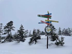 【25/26雪季】·【寒假苗场】2月3日-8日，6天5晚，苗场&神乐&田代 冲粉去！