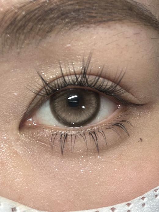 Doragina年抛·焦糖松栗·14.5mm中大着色·韩产2片 商品图7